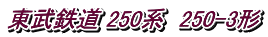 �����S�� 250�n�@250-3�`